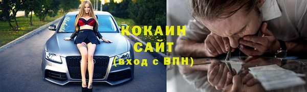 гидра Дмитров