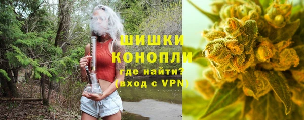 гидра Дмитров