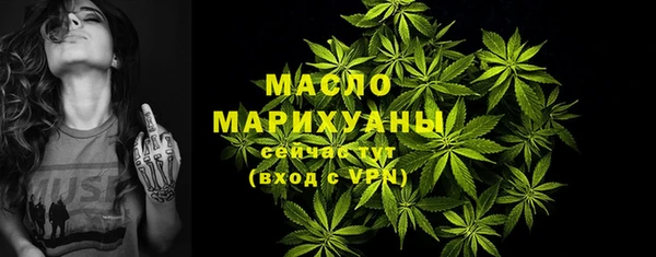 гидра Дмитров