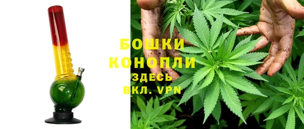 гидра Дмитров