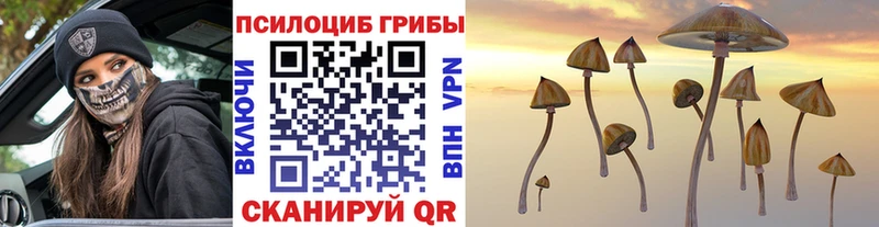 Псилоцибиновые грибы Magic Shrooms  Калтан 